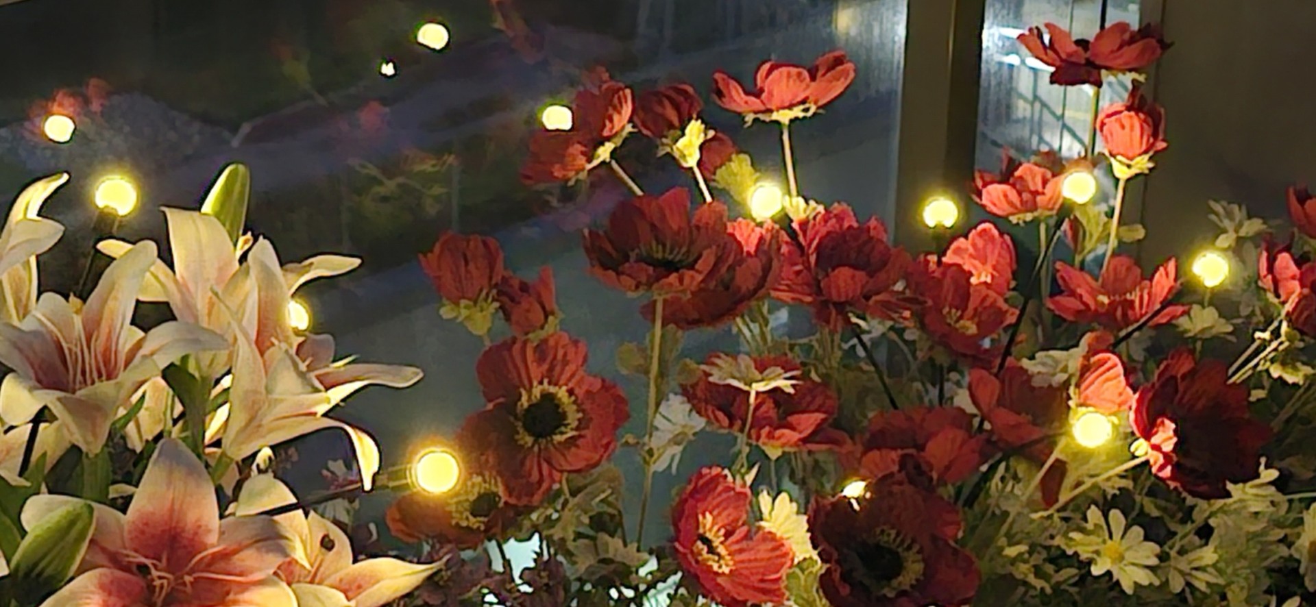 Vidéo – lumières du soir